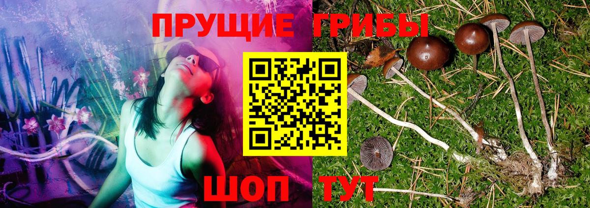 Галлюциногенные грибы ЛСД  Вход с VPN  Тимашёвск  Псилоцибиновые грибы Cubensis 