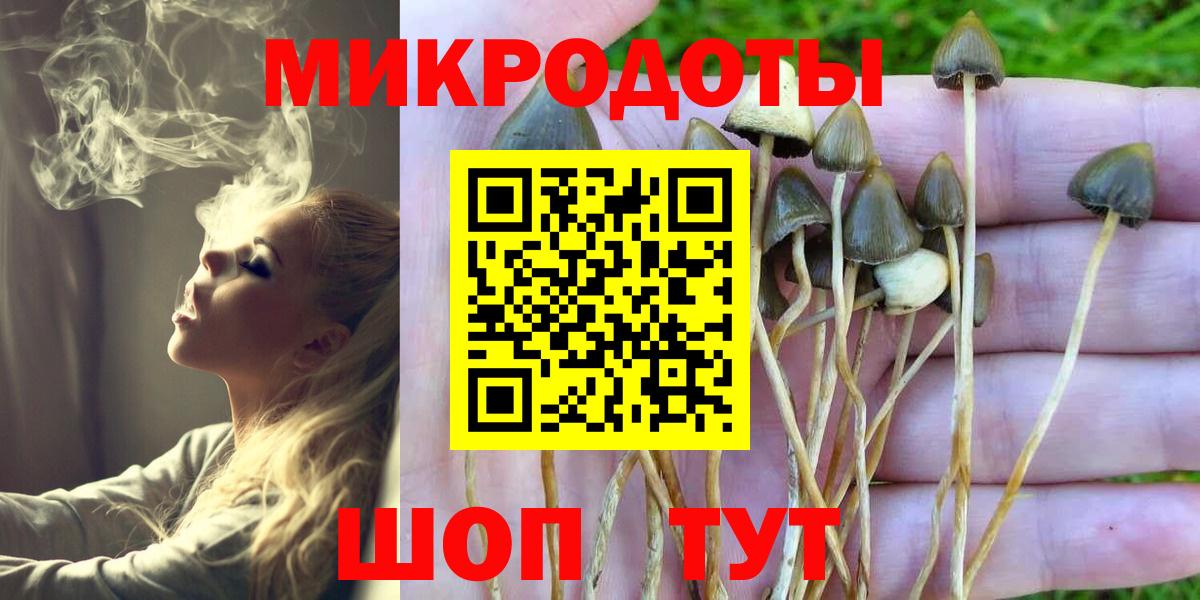 Псилоцибиновые грибы MAGIC MUSHROOMS Тимашёвск